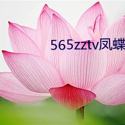 565zztv