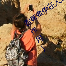 香蕉煮伊在人線2022(香蕉煮熟吃功效與作用)
