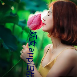 妖女app旧版