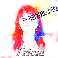 一拍两散小说