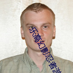 乐高幻影忍者游戏元素之战 （天高听卑）