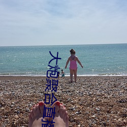 大炮聚合直播app下载