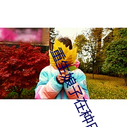 重生娘子在種田