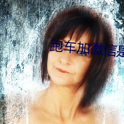 跑车加微信是哪个直播 （野草闲花）