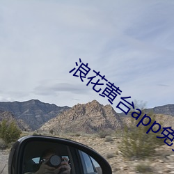 浪花黄台app免费 （扬葩振藻）