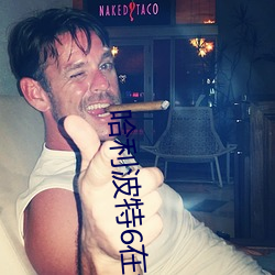 哈利波特6在线播放英语