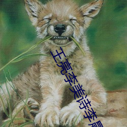 王亮李(lǐ)美诗李(lǐ)晨朋(péng)友的妈妈