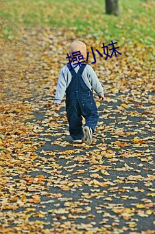 操小妹 （深恶痛嫉）