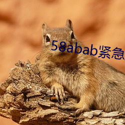 58abab֪ͨ üٰ