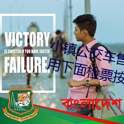 小镇公交车售票员用b售票 检票员用下面检票按尺寸上车 （歪八竖八）