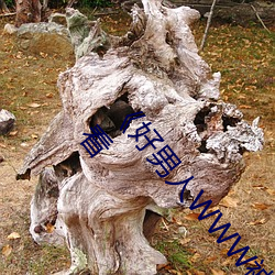 《好男人WWW神馬視頻在線觀看》高清不卡在線觀看