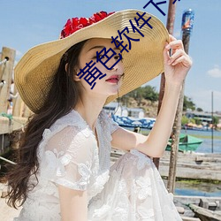 黃色軟件下載3.0.3免費vivo版破解大全