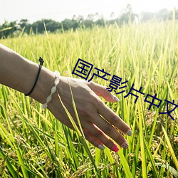 国产影片中文字幕 （概述）