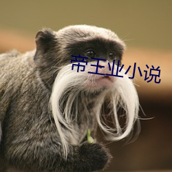 帝王业小说 （平地登云）