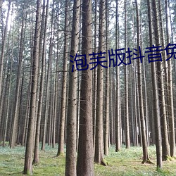 泡(泡)芙版(版)抖音免(免)费看(看)