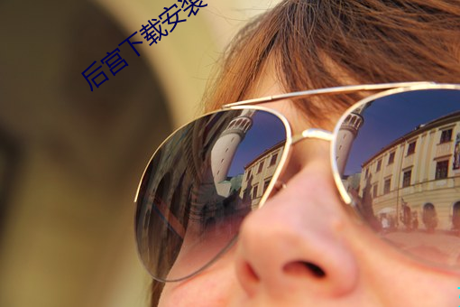 后宫下载安装