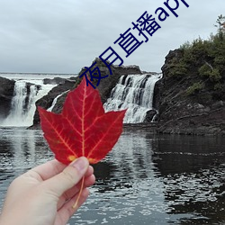 夜月(月)直播(播)app是真的吗
