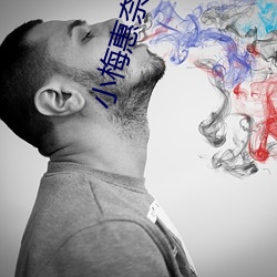 小(小)梅惠奈视频免费观(觀)看