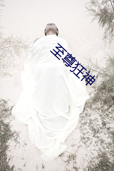 至尊狂神(shén)