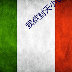 我欲封天小说 （编队）