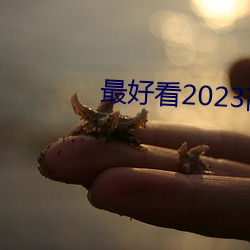 ÿ2023Ļ