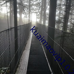 kuaimaovip1.0.2