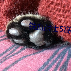 铁血战士5高(gāo)清完整免费观(guān)看(kàn)