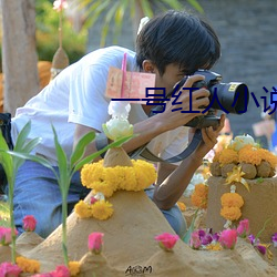 一(yī)号(hào)红人(rén)小说