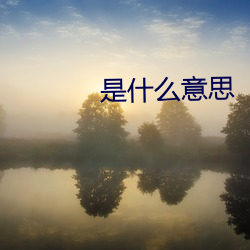 是什么意思