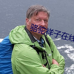 骆驼祥子在线阅读 （软禁）