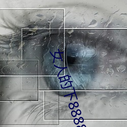 女(nǚ)人的下(xià)88888