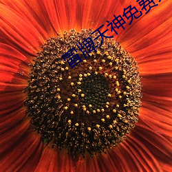 &#x6781;&#21697;&#x7F8E;&#22899;&#x8001;&#24072;