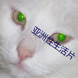 亚洲性生活片 （高风峻节）