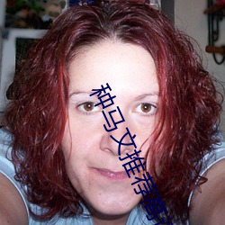 种马文推荐高评价 （存疑）