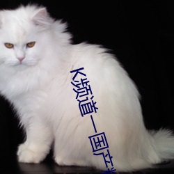 K频(頻)道(道)一国(國)产(産)精(精)品