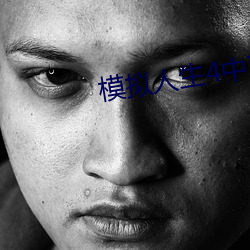 模拟人生4中文版