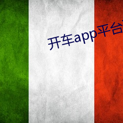 开(開)车app平台(台)下载