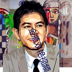 金瓶双艳视频
