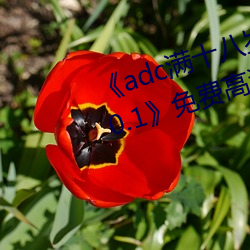 《adc满十八岁年龄确认 192.168.0.1》免费高清在线观看