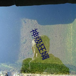 神級狂婿