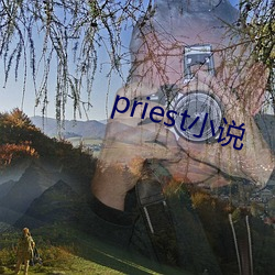 priest小说