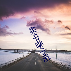 帐中香小说 （以夜续昼）