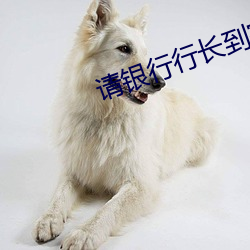 请银行行长到家里不戴套最 （选妓徵歌）