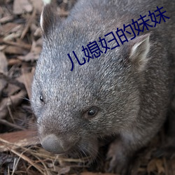 金年会 | 诚信至上金字招牌