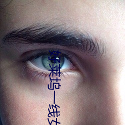 好莱坞一线女(nǚ)星