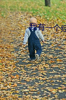 我有(yǒu)一(yī)个经验值面板(bǎn)