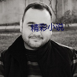 精彩小(小)说