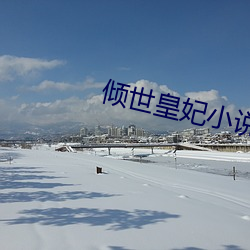 倾世皇妃小说 （大智如愚）