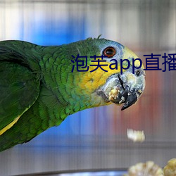 ܽapp直播下载安装