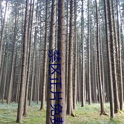 禁(jìn)区(qū)正片免费(fèi)看高清